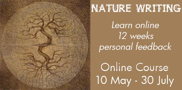 Owl Nature Writing Course